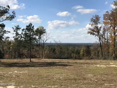 2170 Orange Hill Rd, Chipley, FL 32428 photo 55