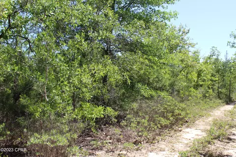 tbd Goshun Creek Rd, Chipley, FL 32428