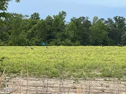 00 S Us Rd, Marianna, FL 32446