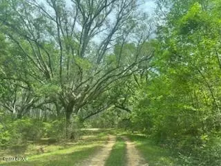 lot54 Alder Rd Reedy Creek Xing, Westville, FL 32464