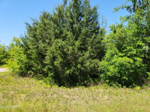 Nnn NW Lake Mckenzie Rd Boulevard, Altha, FL 32421