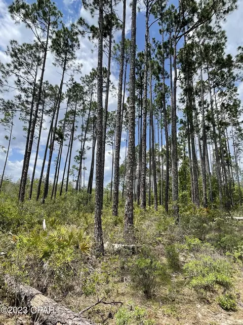 tbd W State Rd 20, Youngstown, FL 32466