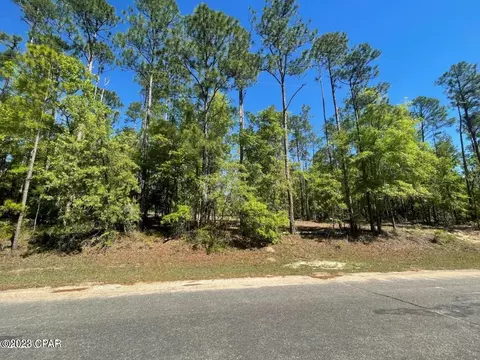 1015 View Dr, Alford, FL 32420
