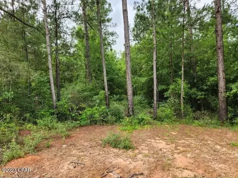 661 Corbin Rd, Chipley, FL 32428 photo 4