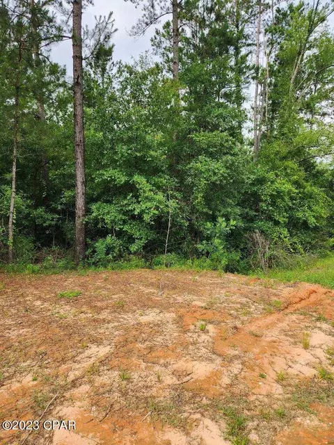 661 Corbin Rd, Chipley, FL 32428 photo 2