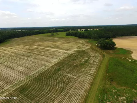 000 Woodrest Rd, Cottondale, FL 32431