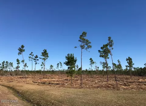 132 Creek Pines Cir, Wewahitchka, FL 32465