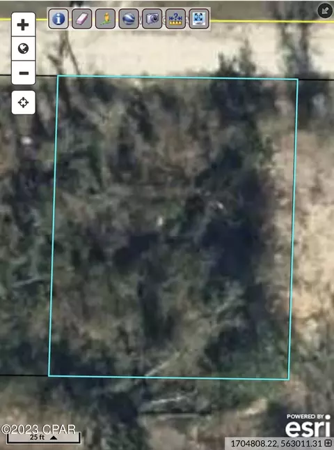 tbd NW Stone Ave, Altha, FL 32421