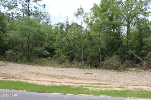 tbd Territory Rd, Chipley, FL 32428 photo 6
