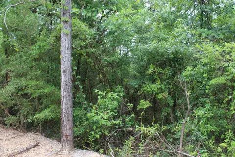 tbd Territory Rd, Chipley, FL 32428 photo 11