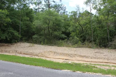tbd Territory Rd, Chipley, FL 32428 photo 8