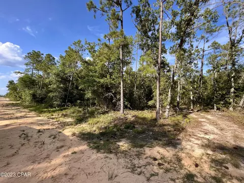 1054 Holly Springs Ave, Alford, FL 32420