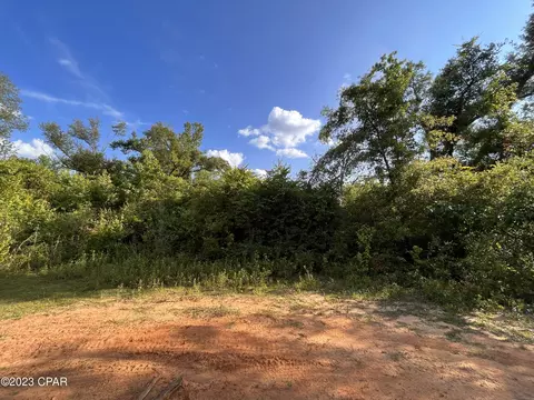 1105 Pershing Dr, Alford, FL 32420