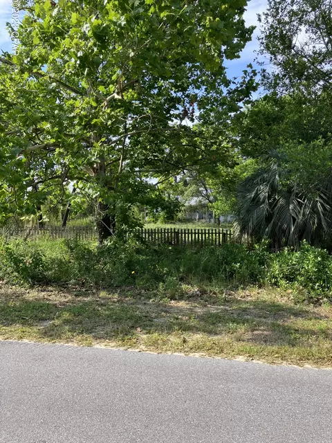 102 Walton Palm Rd, Inlet Beach, FL 32461