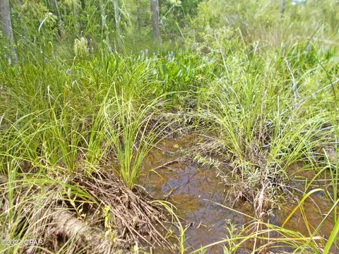 0 Express Rd, Grand Ridge, FL 32442