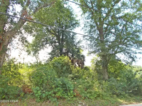 0 Mcpherson St, Marianna, FL 32448