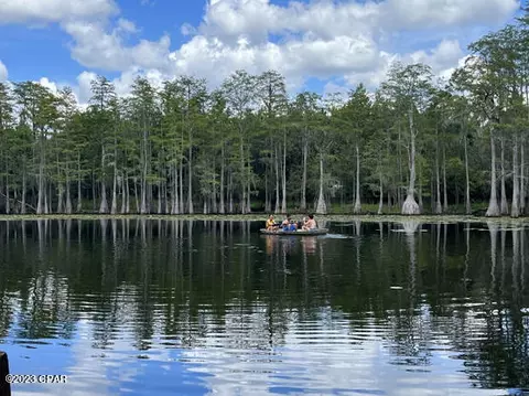 3163 River Rd, Vernon, FL 32462