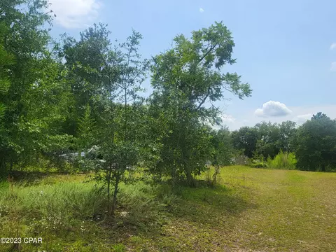 2789 Salem Church, Sneads, FL 32460