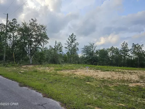 4019 Covington Pl, Chipley, FL 32428 photo 3