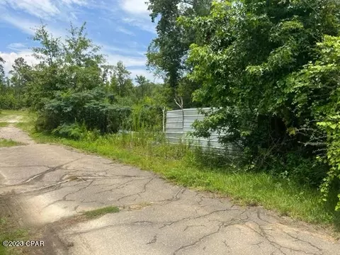 220 Crawfish Cabin St, Wewahitchka, FL 32465