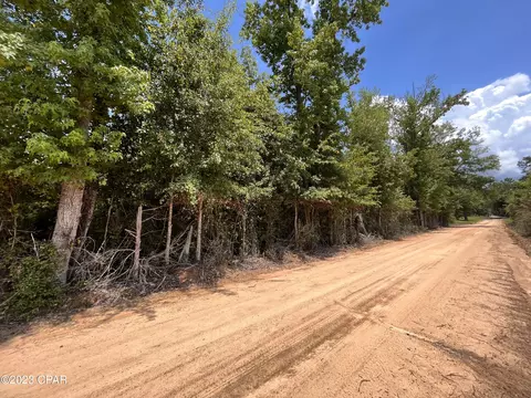 0 Clarence Kent Rd, Cottondale, FL 32431