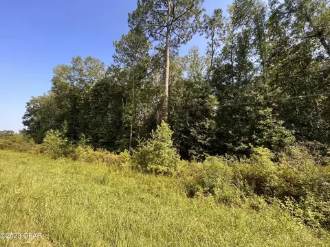 0 Old Bonifay Rd, Chipley, FL 32428