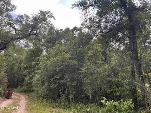 lot35 Payne Lake Rd, Chipley, FL 32428