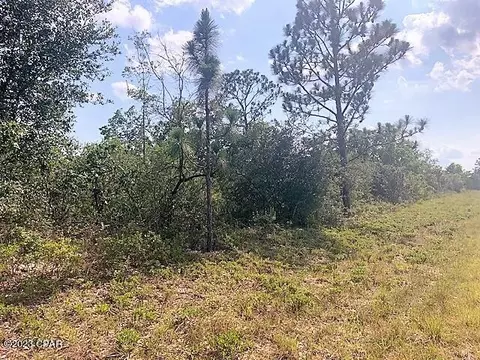 0 Springfield St #11, Chipley, FL 32428 photo 4