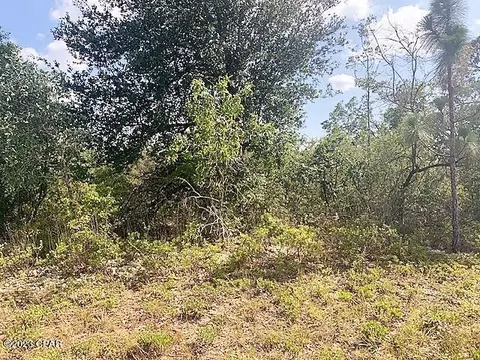 0 Springfield St #11, Chipley, FL 32428 photo 5