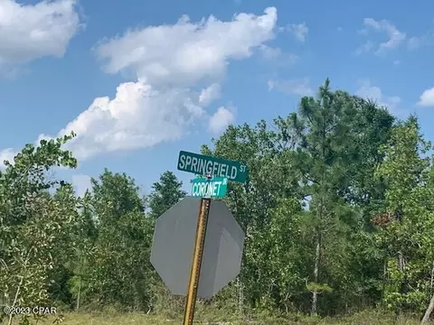 0 Springfield St #11, Chipley, FL 32428 photo 6