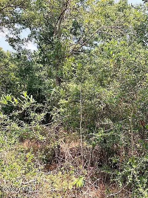 0 Amherst Dr #8, Chipley, FL 32428