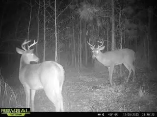 00 Autumn Rd, Malone, FL 32445 photo 4