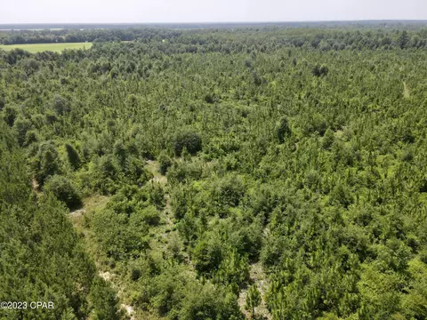 00 Autumn Rd, Malone, FL 32445 photo 41