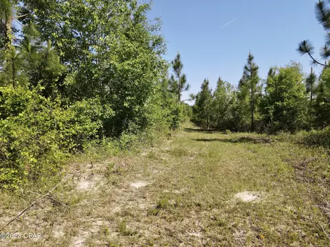 00 Autumn Rd, Malone, FL 32445 photo 20