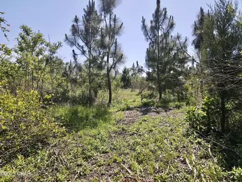 00 Autumn Rd, Malone, FL 32445 photo 35