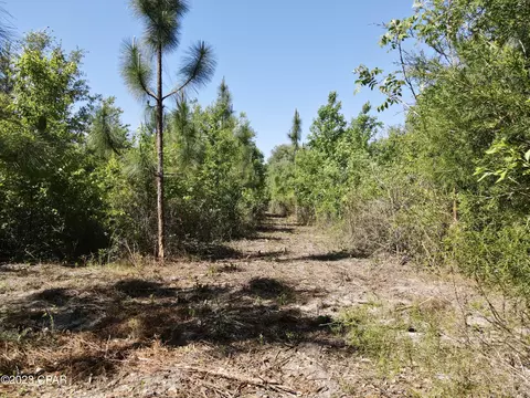 00 Autumn Rd, Malone, FL 32445 photo 32