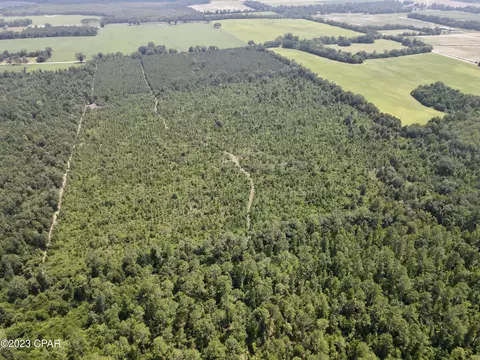 00 Autumn Rd, Malone, FL 32445 photo 13