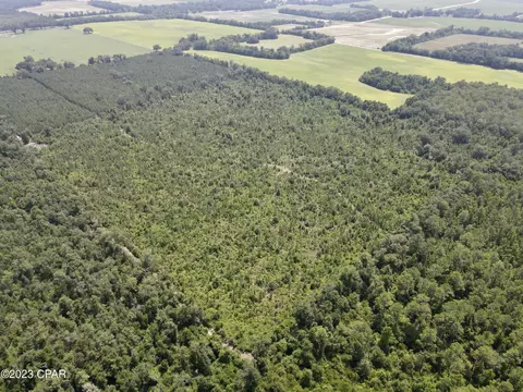 00 Autumn Rd, Malone, FL 32445 photo 14