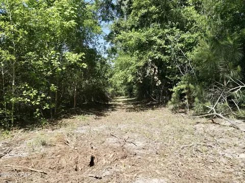 00 Autumn Rd, Malone, FL 32445 photo 26
