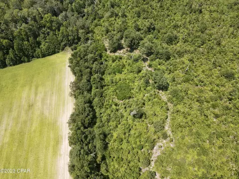 00 Autumn Rd, Malone, FL 32445 photo 47