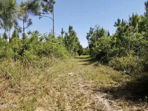 00 Autumn Rd, Malone, FL 32445 photo 19