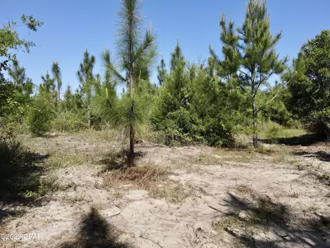 00 Autumn Rd, Malone, FL 32445 photo 21