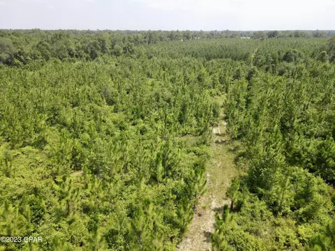 00 Autumn Rd, Malone, FL 32445 photo 48