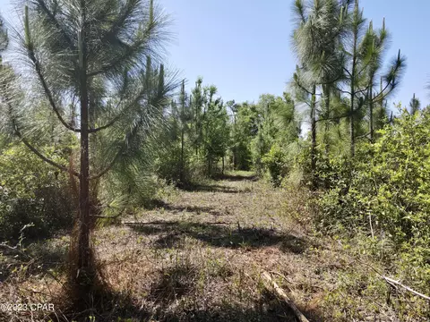 00 Autumn Rd, Malone, FL 32445 photo 36