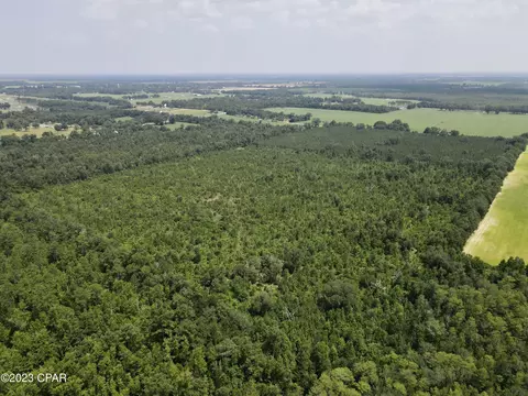 00 Autumn Rd, Malone, FL 32445 photo 12