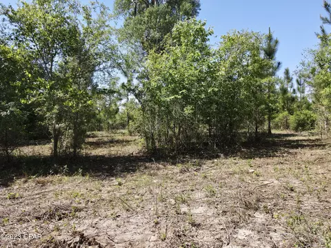 00 Autumn Rd, Malone, FL 32445 photo 37