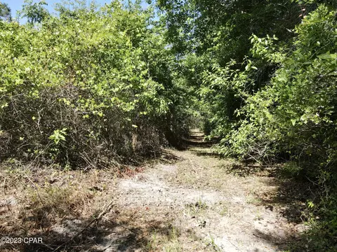 00 Autumn Rd, Malone, FL 32445 photo 29