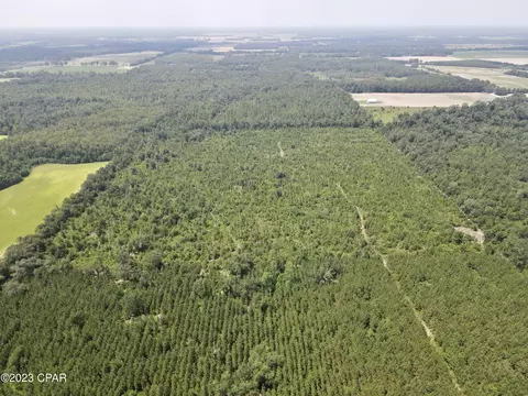 00 Autumn Rd, Malone, FL 32445 photo 9