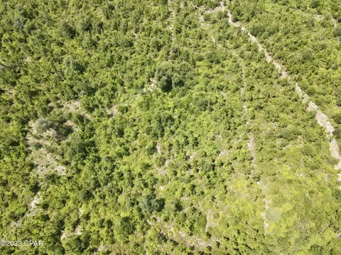 00 Autumn Rd, Malone, FL 32445 photo 51
