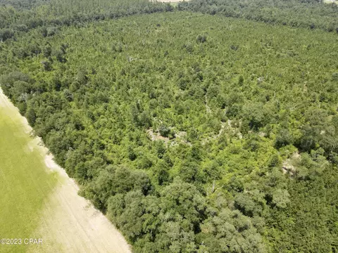00 Autumn Rd, Malone, FL 32445 photo 45